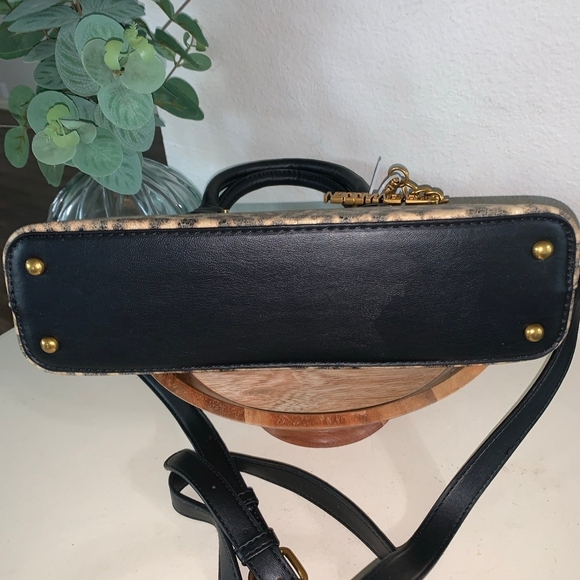 Steve Madden Leopard Print Satchel - Black and Tan - Picture 3 of 7